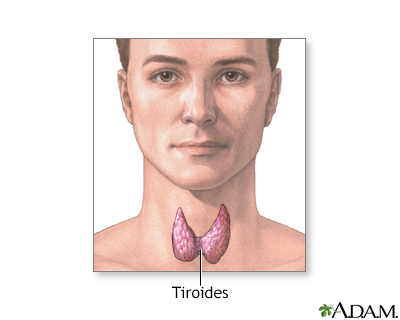 Glándula tiroidea