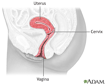 Normal anatomy