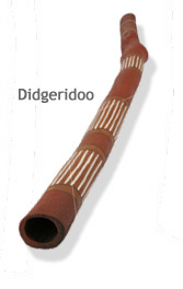 FS Didgeridoo