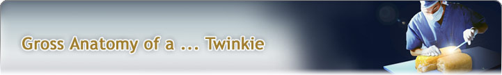 FS Gross anatomy of a ... twinkie banner