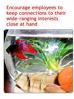 FS Weird ways fish bowl