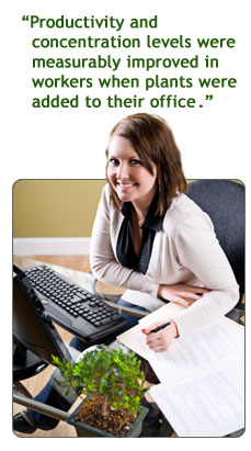 Benefits of Greenery productive woman at desk