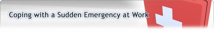 FS Emergency at Work title image