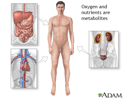 Metabolite