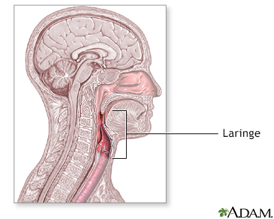 Laringoscopia - serie