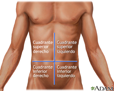 Cuadrantes abdominales