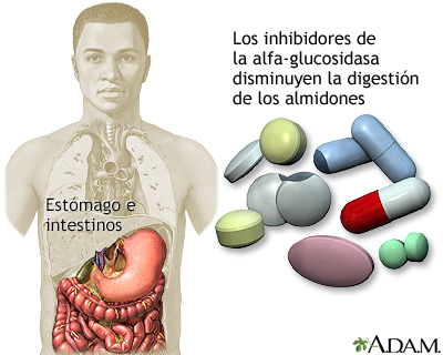 Inhibidores de la alfa-glucosidasa