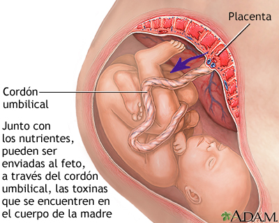 Consumo de sustancias durante el embarazo