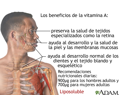 Beneficios de la vitamina A