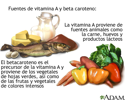 Fuentes de vitamina A