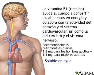 Beneficios de la vitamina B1