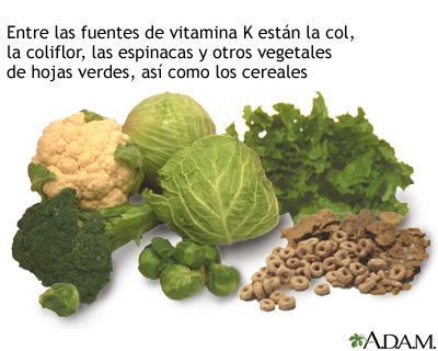 Fuentes de vitamina K