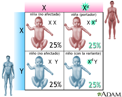 Variantes genéticas recesivas ligados al cromosoma X