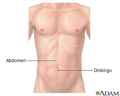 Abdomen externo normal