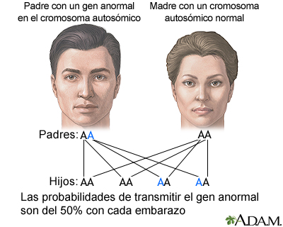 Genes autosómicos dominantes