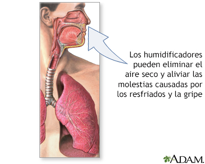 Humidificadores y salud