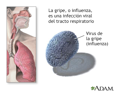 Influenza