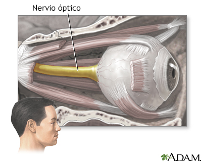 Nervio óptico