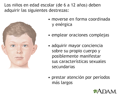 Evolución del niño en edad escolar