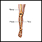 Anatomía esquelética de la pierna